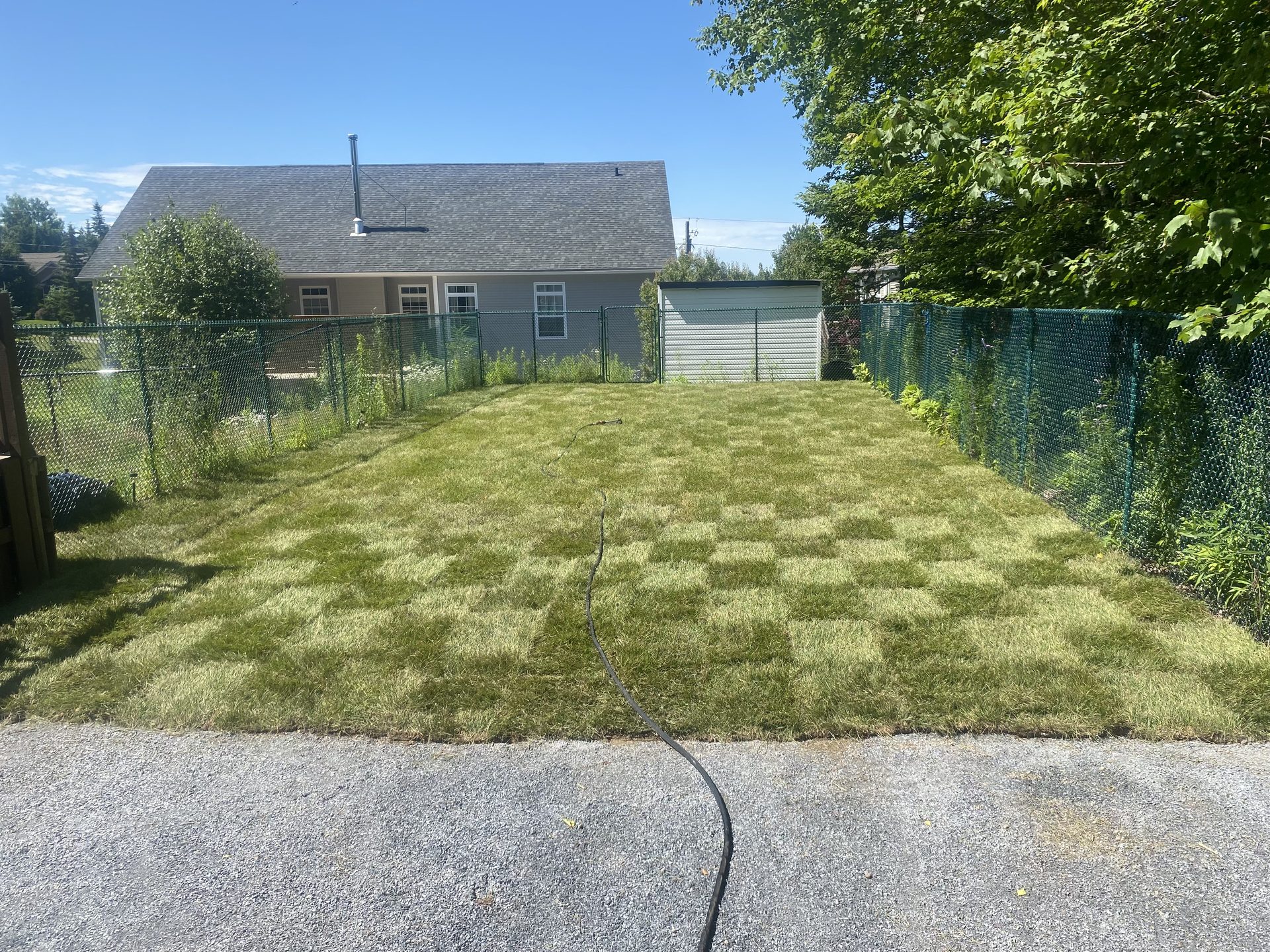 After — pool removed, fresh sod and lawn restored by GD Outdoor Services